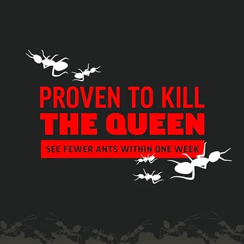 Amdro Ant Killer for Outdoor Home Perimeter Granules 12 Oz (340g) | Kills 25 Ant Species thumbnail 4
