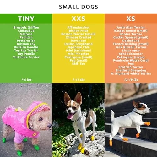 Protex PawZ Rubber Dog Boots for Small Paws | All-Weather Waterproof, Anti-Slip, XX-Small (1"-1.5") Pack of 12 thumbnail 4