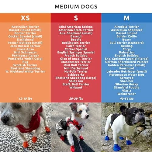 Protex PawZ Rubber Dog Boots Waterproof Non-Slip 12 Pack | All-Weather Paw Protection thumbnail 4