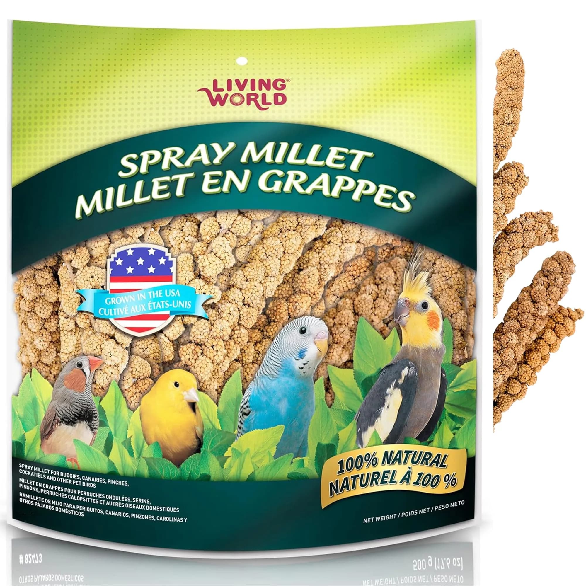 Living World Millet Spray for Birds 5 Pounds | Natural, Fresh & Nutritious Bird Treat