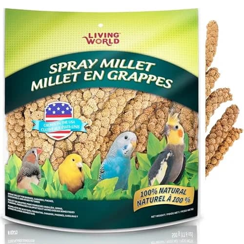 Living World Millet Spray for Birds 5 Pounds | Natural, Fresh & Nutritious Bird Treat thumbnail 1