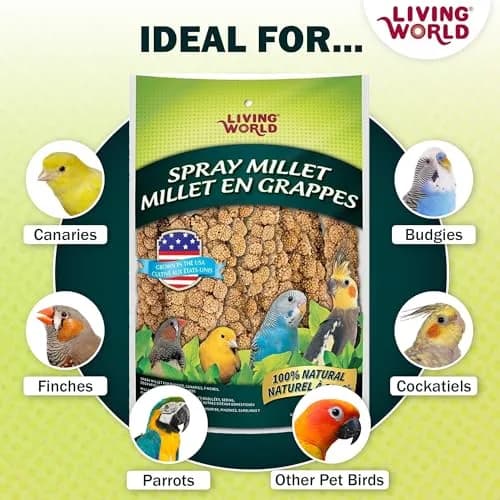 Living World Millet Spray for Birds 5 Pounds | Natural, Fresh & Nutritious Bird Treat thumbnail 4