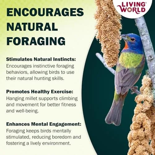 Living World Millet Spray for Birds 5 Pounds | Natural, Fresh & Nutritious Bird Treat thumbnail 6