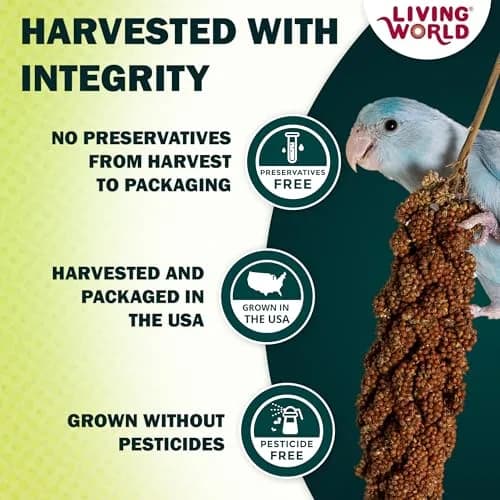 Living World Millet Spray for Birds 5 Pounds | Natural, Fresh & Nutritious Bird Treat thumbnail 3