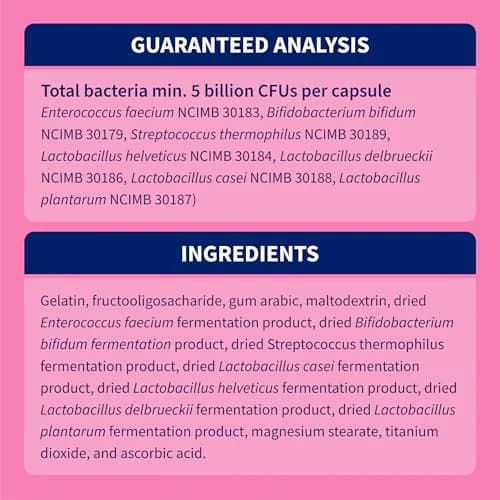 Nutramax Proviable Probiotics + Prebiotics for Dogs & Cats, Capsules, 80ct | Supports Gut Balance & Digestive Health thumbnail 6