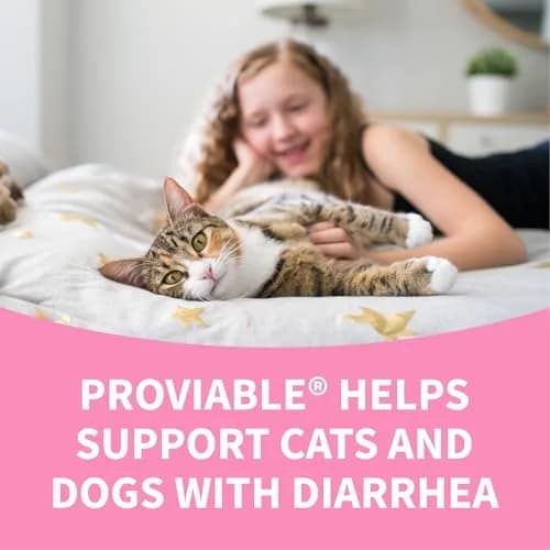 Nutramax Proviable Probiotics + Prebiotics for Dogs & Cats, Capsules, 80ct | Supports Gut Balance & Digestive Health thumbnail 8