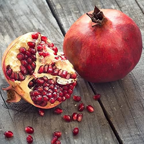 Weleda Replenishing Pomegranate Body Wash 6.8 Fl Oz | Gentle Plant Rich Cleanser for Soft Skin thumbnail 4