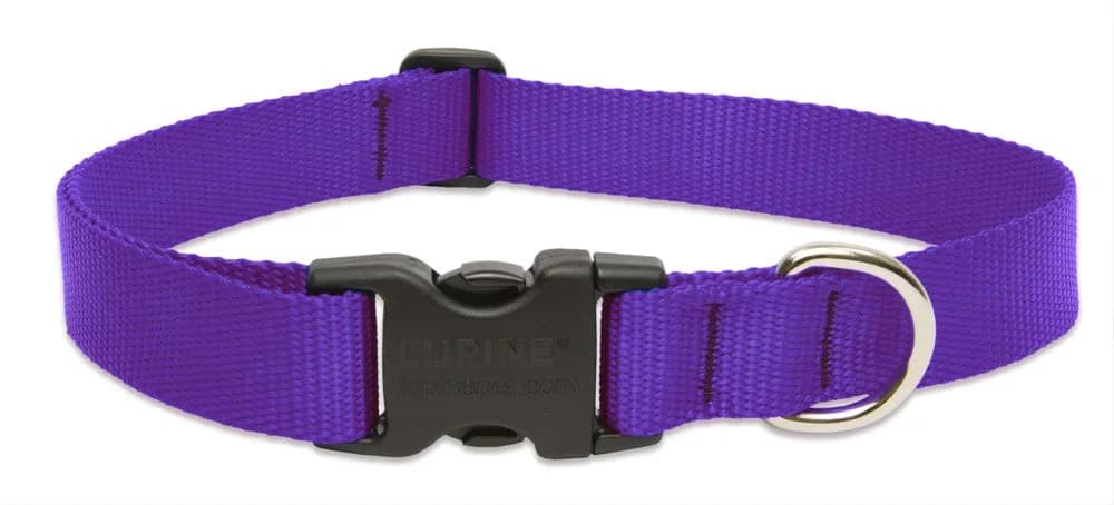 LupinePet Basics Black Adjustable Collar for Extra Large Dogs 63.5cm (25") | Guaranteed Even If Chewed — Purple
