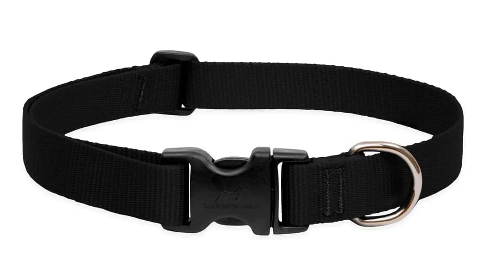 LupinePet Basics Black Adjustable Dog Collar 2.5cm (1") | 30-50cm (12-20") Neck Fit