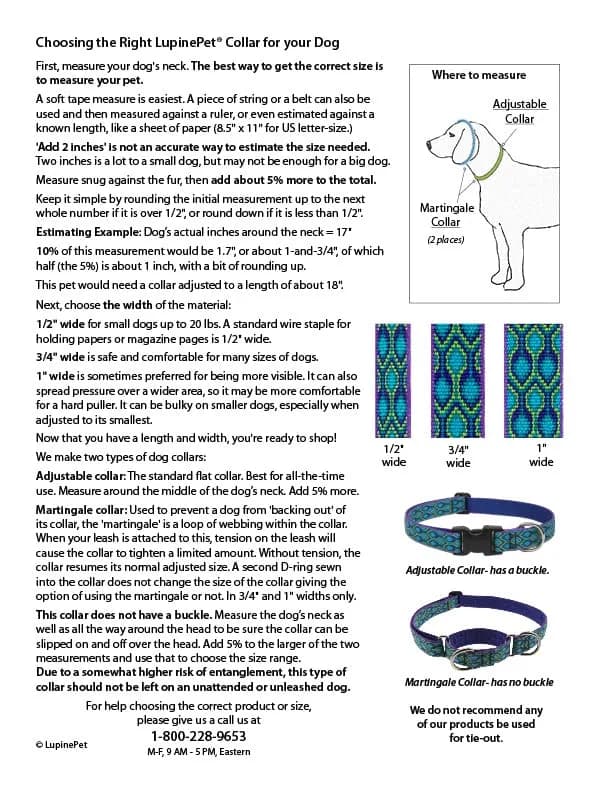 LupinePet Basics Black Adjustable Dog Collar 2.5cm (1") | 30-50cm (12-20") Neck Fit thumbnail 5