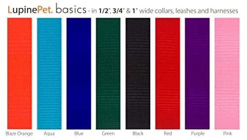 LupinePet Basics Black Adjustable Dog Collar 2.5cm (1") | 30-50cm (12-20") Neck Fit thumbnail 2