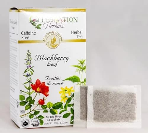 Celebration Herbals Blackberry Leaf Organic 24 Bag | Herbal Tea with Blackberry Flavor, 29g (1.02 oz) thumbnail 2