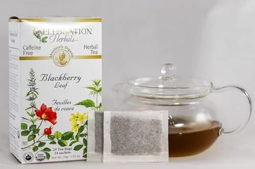 Celebration Herbals Blackberry Leaf Organic 24 Bag | Herbal Tea with Blackberry Flavor, 29g (1.02 oz) thumbnail 3