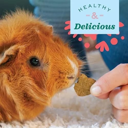 Oxbow Simple Rewards Timothy Treats for Small Pets, 1.4 oz (40g) | High-Fiber Hay Snacks for Digestive & Dental Health thumbnail 5