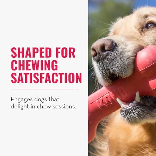KONG Goodie Bone Natural Rubber Treat-Dispensing Dog Toy, Large, Red | Durable Chew Toy for Large Dogs thumbnail 3
