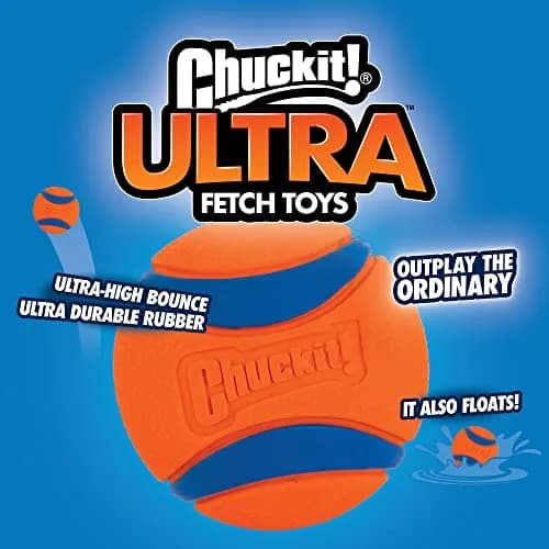 Chuckit! Ultra Ball Dog Toy, Small 2-in (5 cm), 2-Pack | Durable Rubber Fetch Ball for Small Breeds thumbnail 3