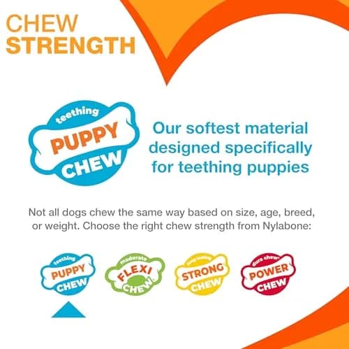 Nylabone Puppy Power Chew Teething Rings Dog Chew Toy, Bacon Flavor, Small | Durable Nylon Chew for Puppies Up to 25 lbs thumbnail 5