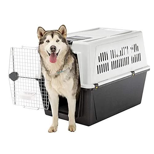 Ferplast Atlas 70 Dog Travel Kennel | Large, Sturdy, Safe & Aerated for Large Dogs thumbnail 4