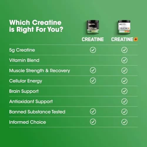 Optimum Nutrition Micronized Creatine Monohydrate Powder 5g (10.6 oz) | Supports Muscle Strength & Recovery thumbnail 8