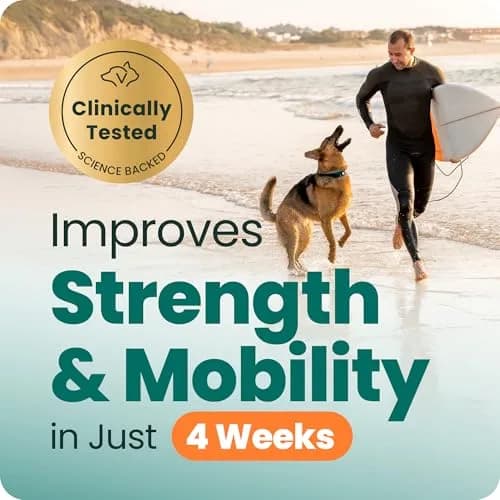 VetriScience Glycoflex 3 Hip and Joint Supplement for Dogs 120 Count | Clinically Proven Dog Joint Support thumbnail 4