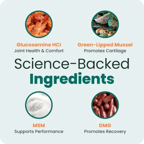 VetriScience Glycoflex 3 Hip and Joint Supplement for Dogs 120 Count | Clinically Proven Dog Joint Support thumbnail 6