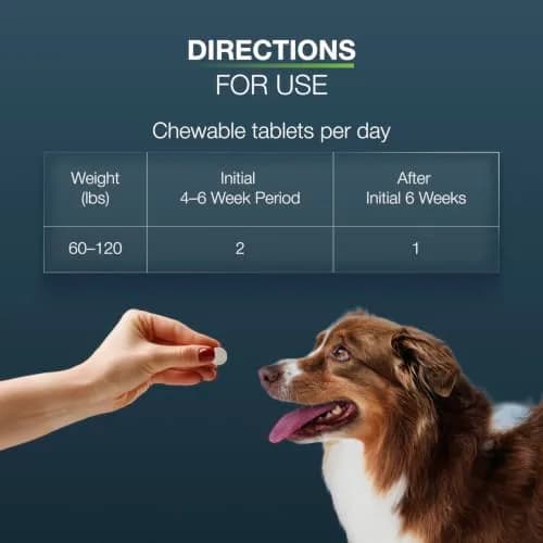 Nutramax Dasuquin Joint Health Supplement Large Dogs Chew Tablets 84 Count (2.3 kg / 5 lb) | Vet-Recommended Canine Mobility Support thumbnail 9