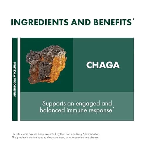Host Defense Chaga Capsules 60 Count | Immune Support & Antioxidants thumbnail 6