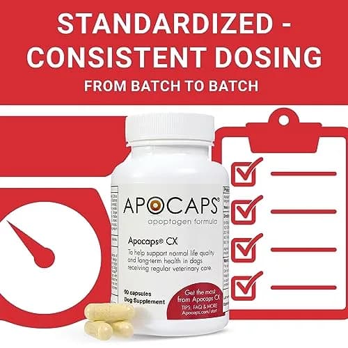 Apocaps CX Apoptogen Formula for Dogs 90 Capsules | Vet-Formulated Immune & Liver Support thumbnail 7