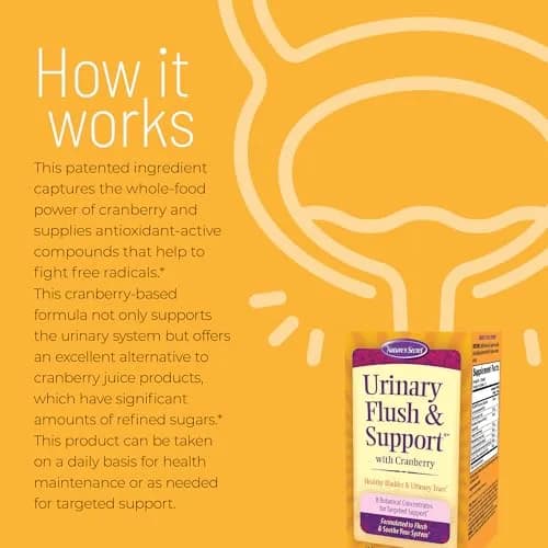 Nature's Secret Urinary Support Capsules 60 Count | Cranberry & Botanicals for Urinary Wellness thumbnail 3