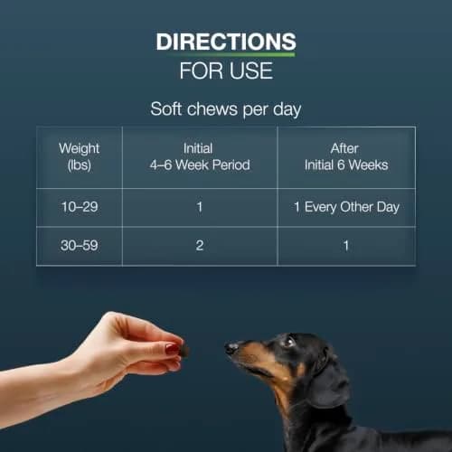 Nutramax Dasuquin Joint Supplement for Small/Med Dogs 84 Soft Chews | Supports Healthy Joints & Cartilage thumbnail 7