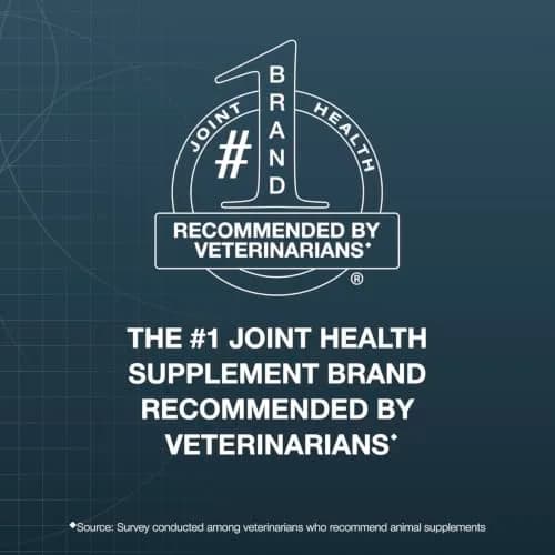 Nutramax Dasuquin Joint Supplement for Small/Med Dogs 84 Soft Chews | Supports Healthy Joints & Cartilage thumbnail 2