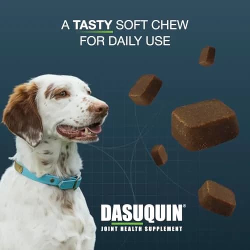 Nutramax Dasuquin Joint Supplement for Small/Med Dogs 84 Soft Chews | Supports Healthy Joints & Cartilage thumbnail 3