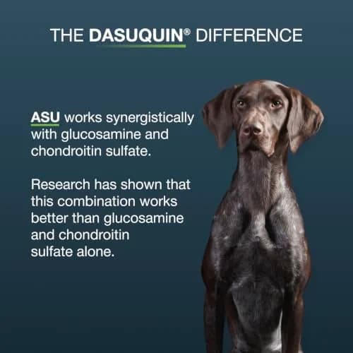 Nutramax Dasuquin Joint Supplement for Large Dogs, Soft Chews, 84ct | Supports Healthy Joints & Cartilage thumbnail 6