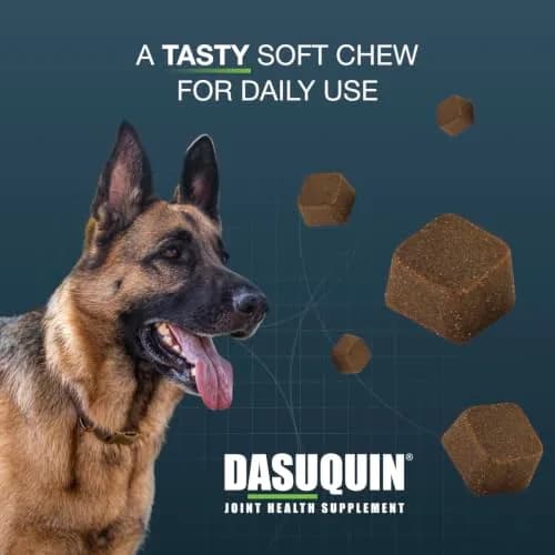 Nutramax Dasuquin Joint Supplement for Large Dogs, Soft Chews, 84ct | Supports Healthy Joints & Cartilage thumbnail 4