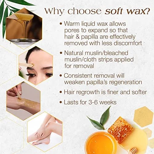 GIGI All Purpose Honee Soft Wax for Hair Removal 14 oz | Honey-Infused Formula for Gentle, Long-Lasting Hair-Free Skin thumbnail 6