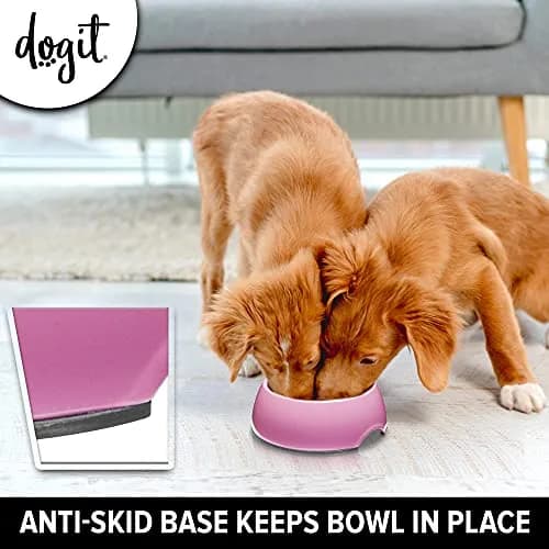 Dogit Dog Bowl Slow Feeder Pink Small | Anti-Gulping Pet Dish for Dogs thumbnail 6