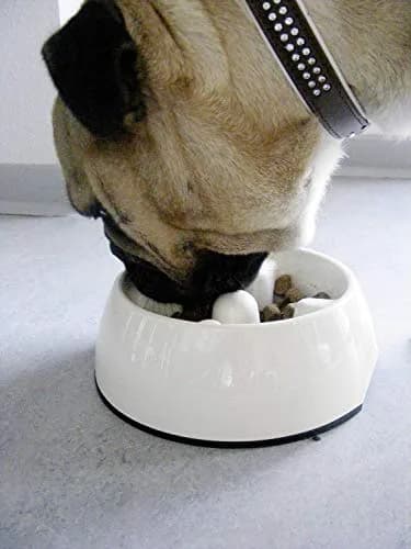 Dogit Go Slow Anti Gulping Dog Bowl Small | Reduces Bloat & Supports Digestion thumbnail 2