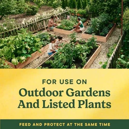 Miracle-Gro Shake 'N Feed All Purpose Plant Food + Weed Preventer 4.5 lb | Feeds & Prevents Weeds for Garden thumbnail 7