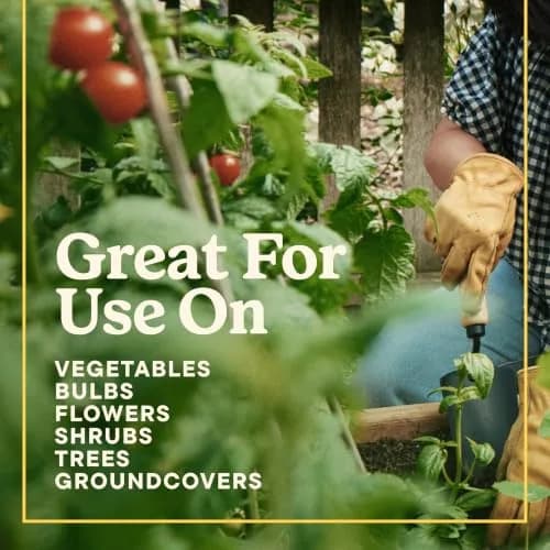 Miracle-Gro Shake 'N Feed All Purpose Plant Food + Weed Preventer 4.5 lb | Feeds & Prevents Weeds for Garden thumbnail 9
