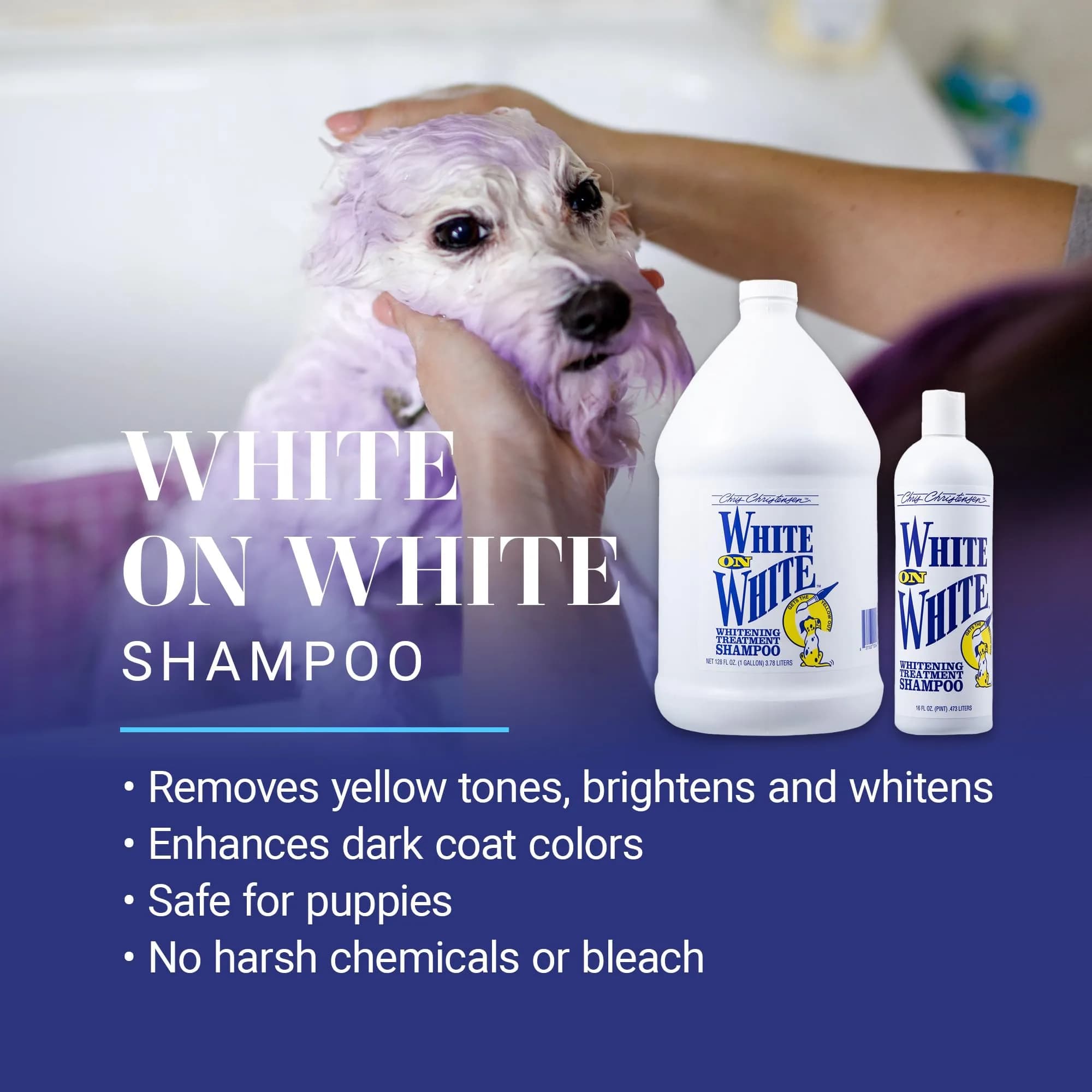Chris Christensen White on White Whitening Dog Shampoo 473ml (16 fl oz) | Optic Intensifying Treatment for All Coats — 1 Gallon thumbnail 2