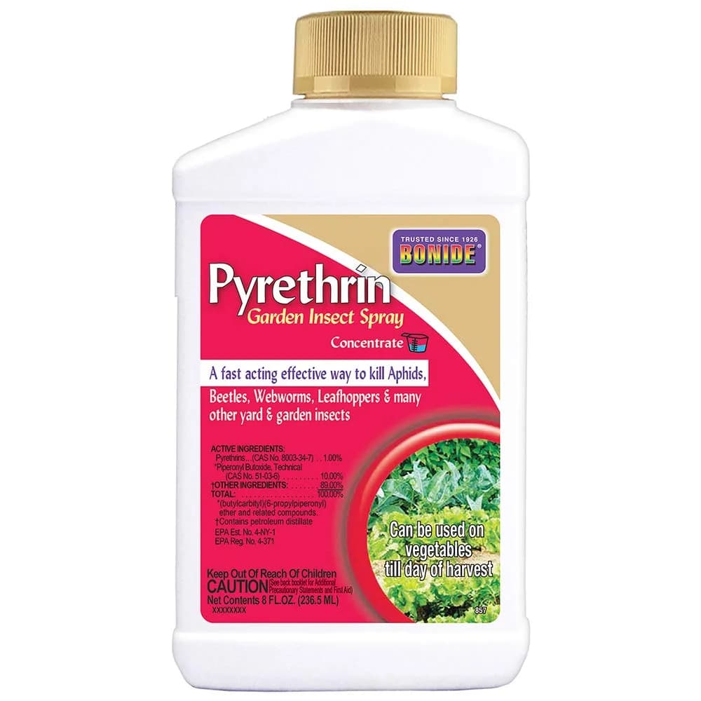 Bonide Pyrethrin Garden Insect Spray Concentrate 8 oz (237 ml) | Fast Acting Insecticide for Outdoor Garden Use