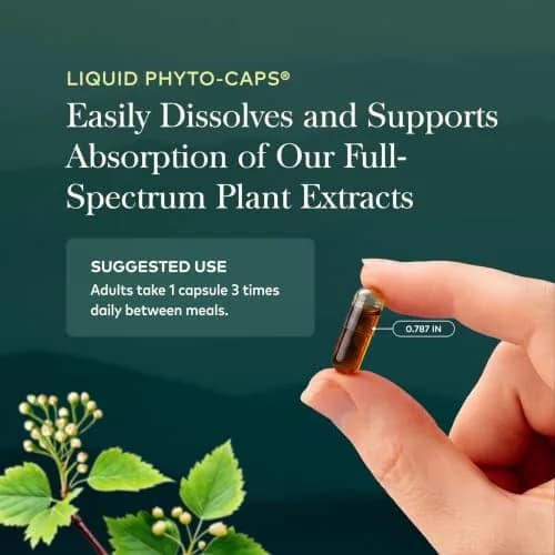 Gaia Herbs Daytime, 60 Vegan Capsules thumbnail 6