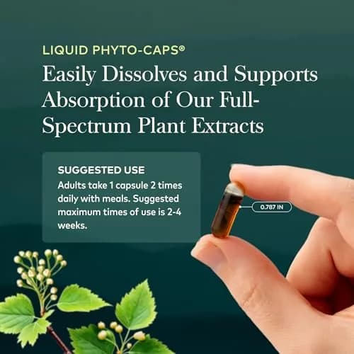 Gaia Herbs Oil of Oregano 230 mg Vegan Capsules | Immune & Antioxidant Support Supplement with Carvacrol & Thymol thumbnail 6
