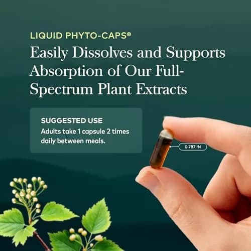 Gaia Herbs Rhodiola Rosea 60 Vegan Capsules | Supports Stress & Endurance thumbnail 6