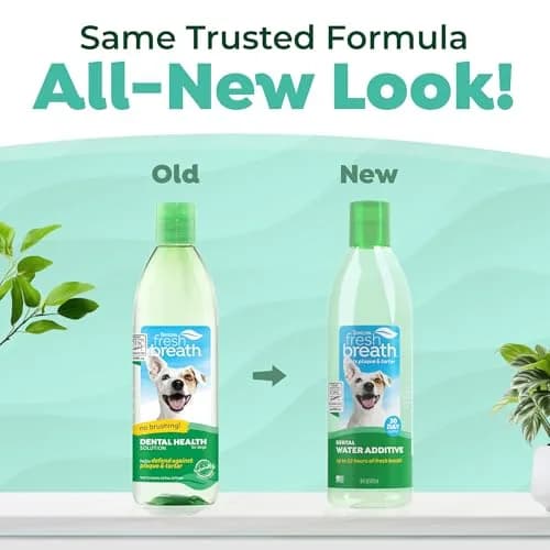 TropiClean Fresh Breath Water Additive for Dogs 473ml (16 Fl Oz) | Odorless, VOHC Accepted, No Brushing Required thumbnail 2