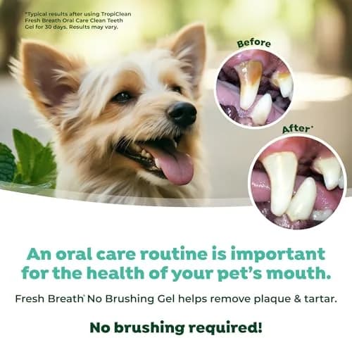 TropiClean Fresh Breath No Brushing Dog Toothpaste Gel 4oz (118ml) | Fights Bad Breath & Plaque thumbnail 5