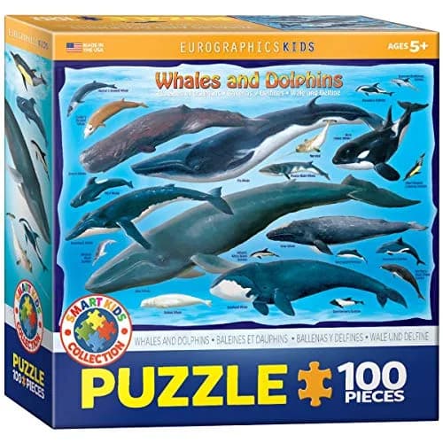 EuroGraphics Whales & Dolphins 100 Piece Jigsaw Puzzle 38.1 cm x 27.9 cm | Educational Toy Made in USA thumbnail 1