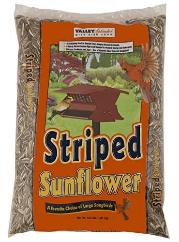 Red River Commodities Valley Splendor Stripe Sunflower Seed, 4 lbs | Bird Food with Good Oil Content thumbnail 1