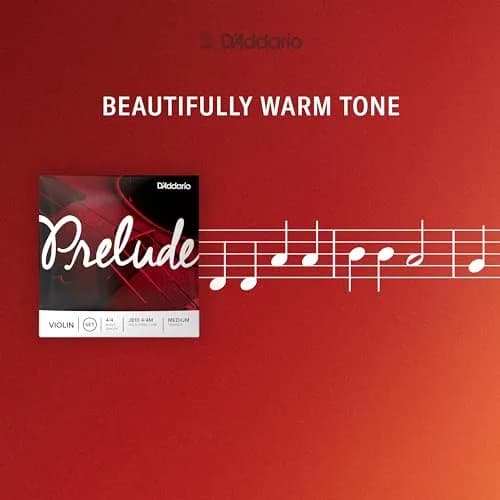 D'Addario Prelude Violin String Set 4/4 Scale Light Tension | Warm Tone & Durability thumbnail 4