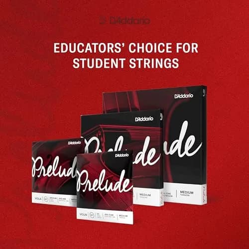 D'Addario Prelude Violin String Set 4/4 Scale Light Tension | Warm Tone & Durability thumbnail 2